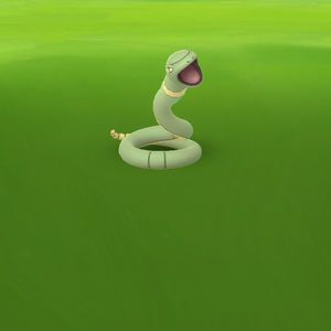 Meet your Posher, Heidi